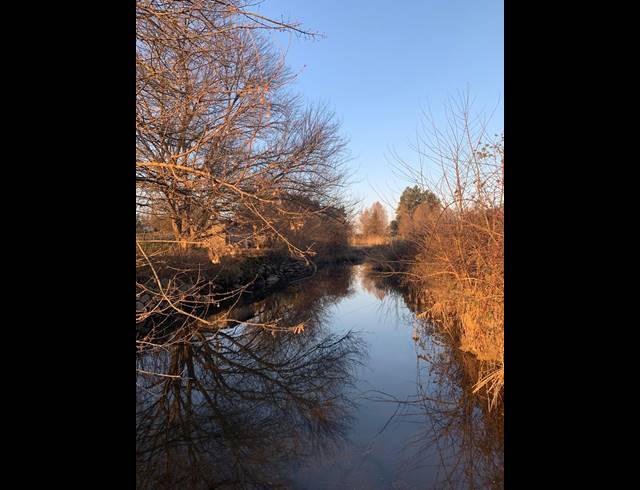 230,000M² FARM RENTED IN KARKLOOF